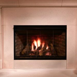 Reveal Gas Fireplace